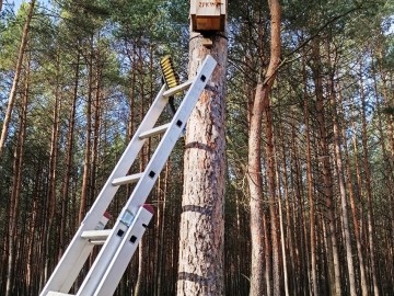 Przegląd i czyszczenie budek dla ptaków w Sieradzkich Parkach Krajobrazowych, 